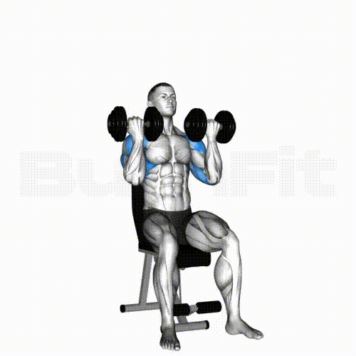 Arnold Dumbbell Press